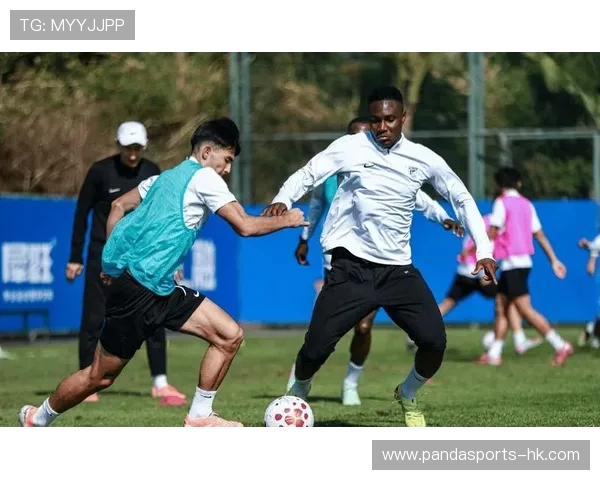 中超最新赛季深度解析与焦点球队全景追踪