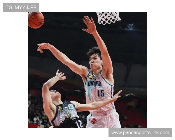 CBA历史篮板王数据盘点与顶级球员表现分析